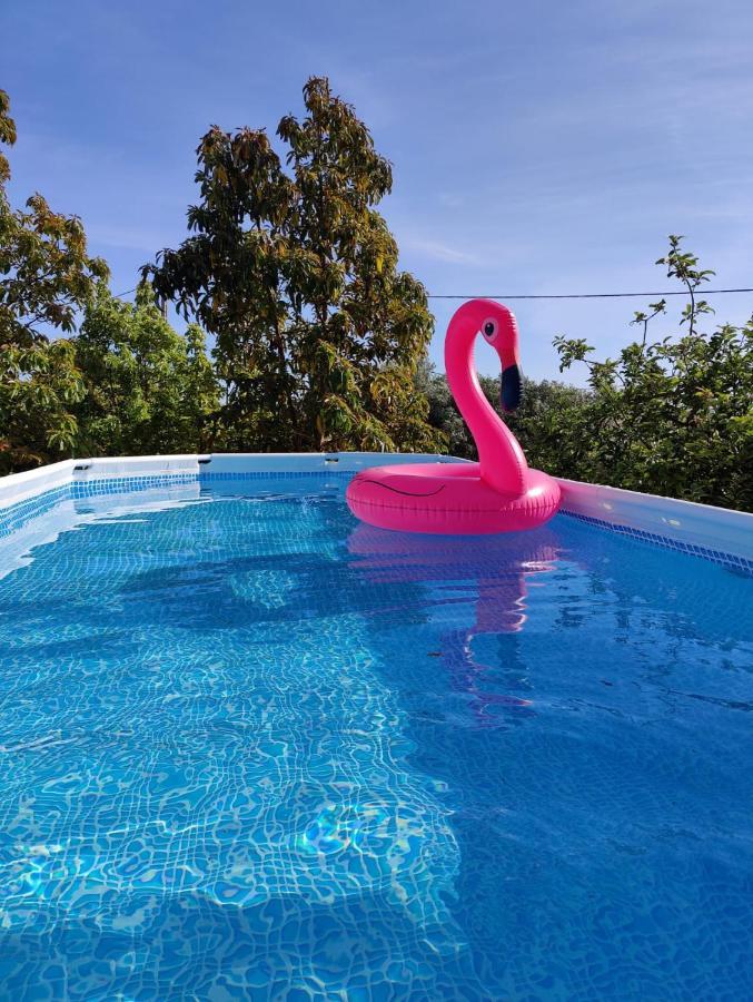 Casa Azul-Tiny House With Fantastic View, Big Outdoor Space And Pool Silves Exterior foto